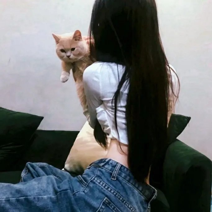 虚渡春宵 在线观看